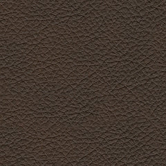 Leesworth Reclining Power Sofa