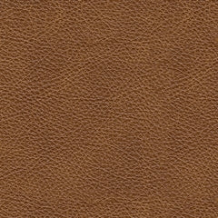 Carianna Sofa and Loveseat Huntsville Furniture Outlet