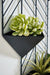 Dashney Wall Planter Huntsville Furniture Outlet