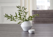 Domina Jar Huntsville Furniture Outlet
