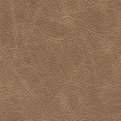 Lombardia Sofa and Loveseat Huntsville Furniture Outlet