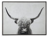 Pancho Wall Art Huntsville Furniture Outlet